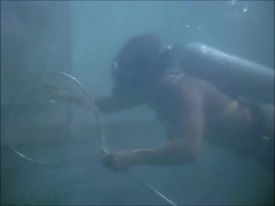FLIPPER_-_E1X07_COUNTDOWN_FOR_FLIPPER_0204.jpg