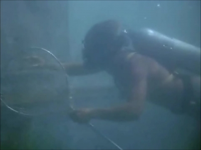 FLIPPER_-_E1X07_COUNTDOWN_FOR_FLIPPER_0205.jpg