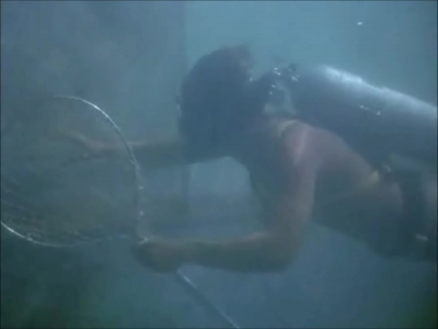 FLIPPER_-_E1X07_COUNTDOWN_FOR_FLIPPER_0206.jpg