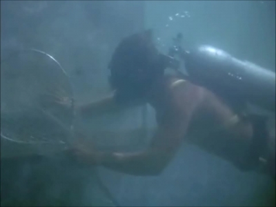 FLIPPER_-_E1X07_COUNTDOWN_FOR_FLIPPER_0207.jpg