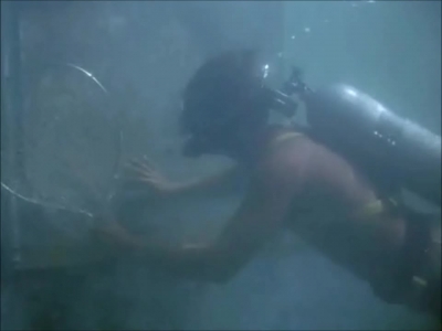 FLIPPER_-_E1X07_COUNTDOWN_FOR_FLIPPER_0208.jpg