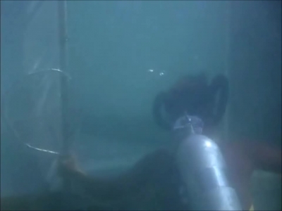 FLIPPER_-_E1X07_COUNTDOWN_FOR_FLIPPER_0237.jpg