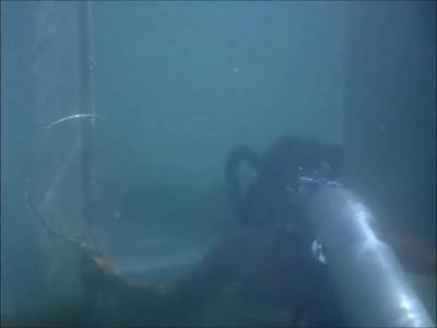 FLIPPER_-_E1X07_COUNTDOWN_FOR_FLIPPER_0238.jpg