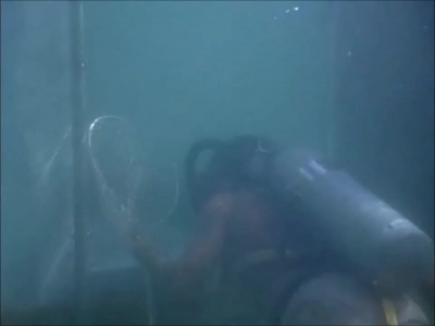 FLIPPER_-_E1X07_COUNTDOWN_FOR_FLIPPER_0239.jpg