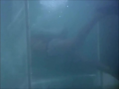 FLIPPER_-_E1X07_COUNTDOWN_FOR_FLIPPER_0243.jpg