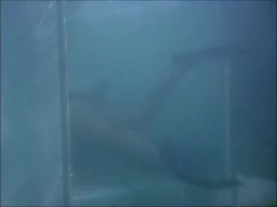 FLIPPER_-_E1X07_COUNTDOWN_FOR_FLIPPER_0244.jpg