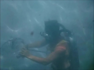 FLIPPER_-_E1X07_COUNTDOWN_FOR_FLIPPER_0272.jpg
