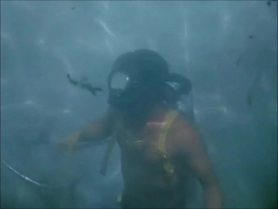FLIPPER_-_E1X07_COUNTDOWN_FOR_FLIPPER_0280.jpg