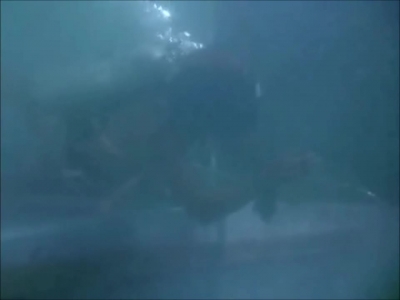 FLIPPER_-_E1X07_COUNTDOWN_FOR_FLIPPER_0299.jpg