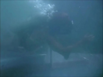 FLIPPER_-_E1X07_COUNTDOWN_FOR_FLIPPER_0300.jpg