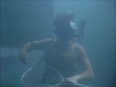 FLIPPER_-_E1X07_COUNTDOWN_FOR_FLIPPER_0317.jpg