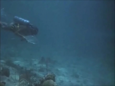 FLIPPER_-_E1X07_COUNTDOWN_FOR_FLIPPER_0327.jpg