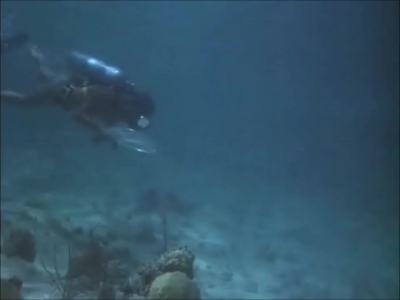 FLIPPER_-_E1X07_COUNTDOWN_FOR_FLIPPER_0328.jpg