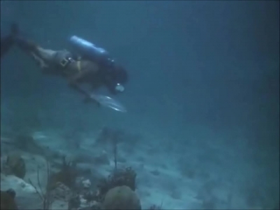 FLIPPER_-_E1X07_COUNTDOWN_FOR_FLIPPER_0329.jpg