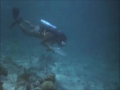 FLIPPER_-_E1X07_COUNTDOWN_FOR_FLIPPER_0331.jpg