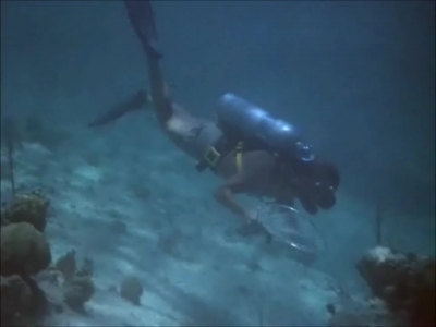 FLIPPER_-_E1X07_COUNTDOWN_FOR_FLIPPER_0339.jpg
