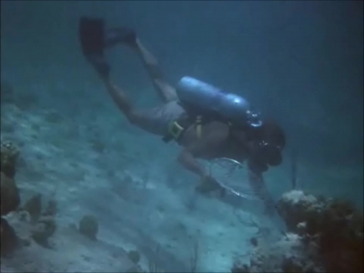 FLIPPER_-_E1X07_COUNTDOWN_FOR_FLIPPER_0340.jpg