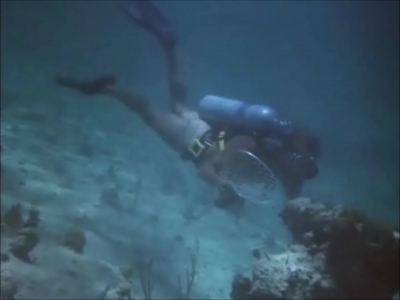 FLIPPER_-_E1X07_COUNTDOWN_FOR_FLIPPER_0341.jpg