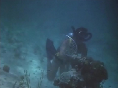 FLIPPER_-_E1X07_COUNTDOWN_FOR_FLIPPER_0344.jpg