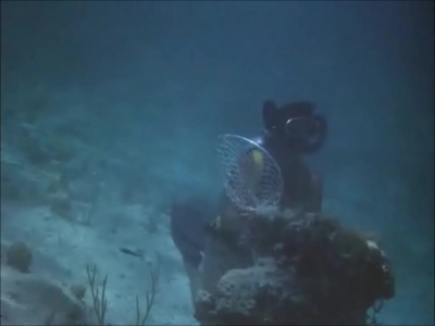 FLIPPER_-_E1X07_COUNTDOWN_FOR_FLIPPER_0345.jpg