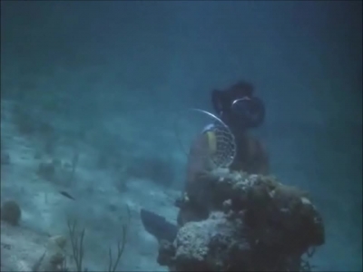FLIPPER_-_E1X07_COUNTDOWN_FOR_FLIPPER_0346.jpg