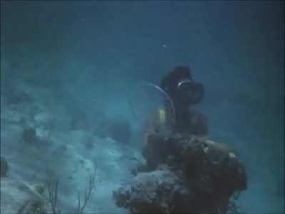 FLIPPER_-_E1X07_COUNTDOWN_FOR_FLIPPER_0347.jpg
