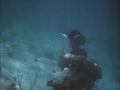 FLIPPER_-_E1X07_COUNTDOWN_FOR_FLIPPER_0348.jpg