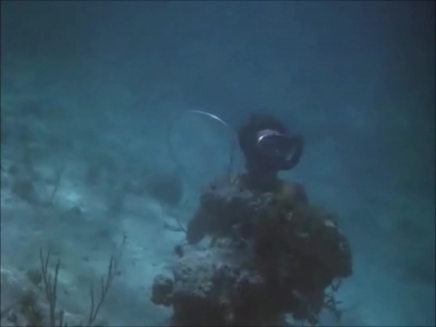 FLIPPER_-_E1X07_COUNTDOWN_FOR_FLIPPER_0349.jpg