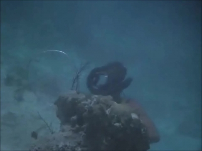 FLIPPER_-_E1X07_COUNTDOWN_FOR_FLIPPER_0358.jpg
