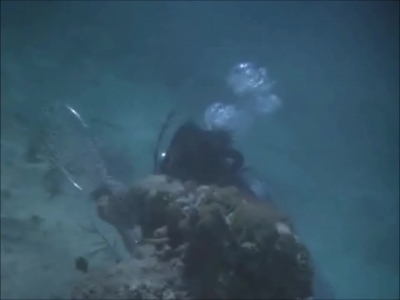 FLIPPER_-_E1X07_COUNTDOWN_FOR_FLIPPER_0360.jpg
