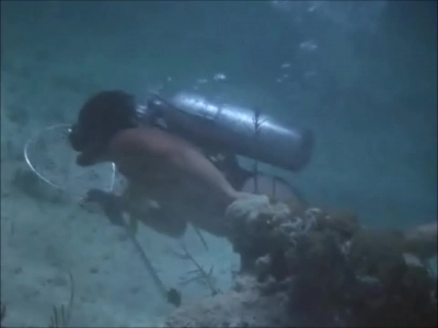 FLIPPER_-_E1X07_COUNTDOWN_FOR_FLIPPER_0364.jpg