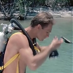 FLIPPER_-_E1X07_COUNTDOWN_FOR_FLIPPER_0021.jpg