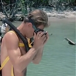 FLIPPER_-_E1X07_COUNTDOWN_FOR_FLIPPER_0029.jpg