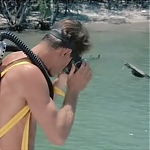 FLIPPER_-_E1X07_COUNTDOWN_FOR_FLIPPER_0034.jpg