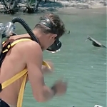FLIPPER_-_E1X07_COUNTDOWN_FOR_FLIPPER_0036.jpg