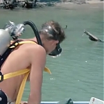 FLIPPER_-_E1X07_COUNTDOWN_FOR_FLIPPER_0037.jpg