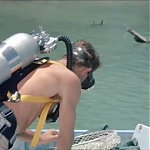 FLIPPER_-_E1X07_COUNTDOWN_FOR_FLIPPER_0039.jpg