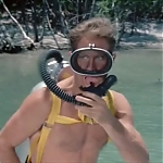 FLIPPER_-_E1X07_COUNTDOWN_FOR_FLIPPER_0049.jpg