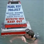 FLIPPER_-_E1X07_COUNTDOWN_FOR_FLIPPER_0094.jpg