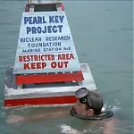 FLIPPER_-_E1X07_COUNTDOWN_FOR_FLIPPER_0095.jpg