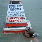 FLIPPER_-_E1X07_COUNTDOWN_FOR_FLIPPER_0098.jpg
