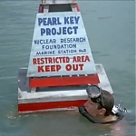 FLIPPER_-_E1X07_COUNTDOWN_FOR_FLIPPER_0103.jpg