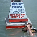 FLIPPER_-_E1X07_COUNTDOWN_FOR_FLIPPER_0111.jpg