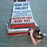 FLIPPER_-_E1X07_COUNTDOWN_FOR_FLIPPER_0118.jpg