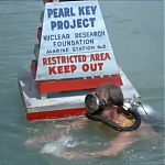 FLIPPER_-_E1X07_COUNTDOWN_FOR_FLIPPER_0126.jpg