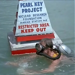 FLIPPER_-_E1X07_COUNTDOWN_FOR_FLIPPER_0127.jpg