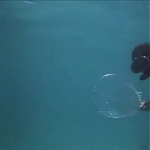 FLIPPER_-_E1X07_COUNTDOWN_FOR_FLIPPER_0135.jpg