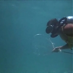 FLIPPER_-_E1X07_COUNTDOWN_FOR_FLIPPER_0138.jpg