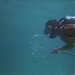 FLIPPER_-_E1X07_COUNTDOWN_FOR_FLIPPER_0139.jpg