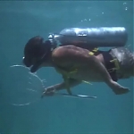 FLIPPER_-_E1X07_COUNTDOWN_FOR_FLIPPER_0144.jpg